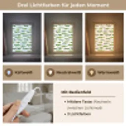 krokodillen - Speels - Groen Light Box met kabel (Tafellamp) klein 925 -USP_lichtkleurDE