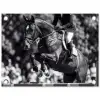 Springen - Paard - Zwart - Wit tuinposter los doek klein -3d