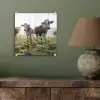 Koeien - Licht - Gras - Dieren plexiglas 5mm klein -sfeer3