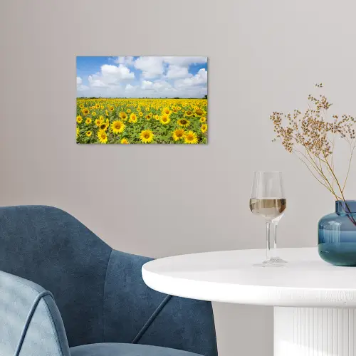 Zonnebloemen - Bloemen - Wolken - Natuur - Geel - Landschap poster papier klein -sfeer3