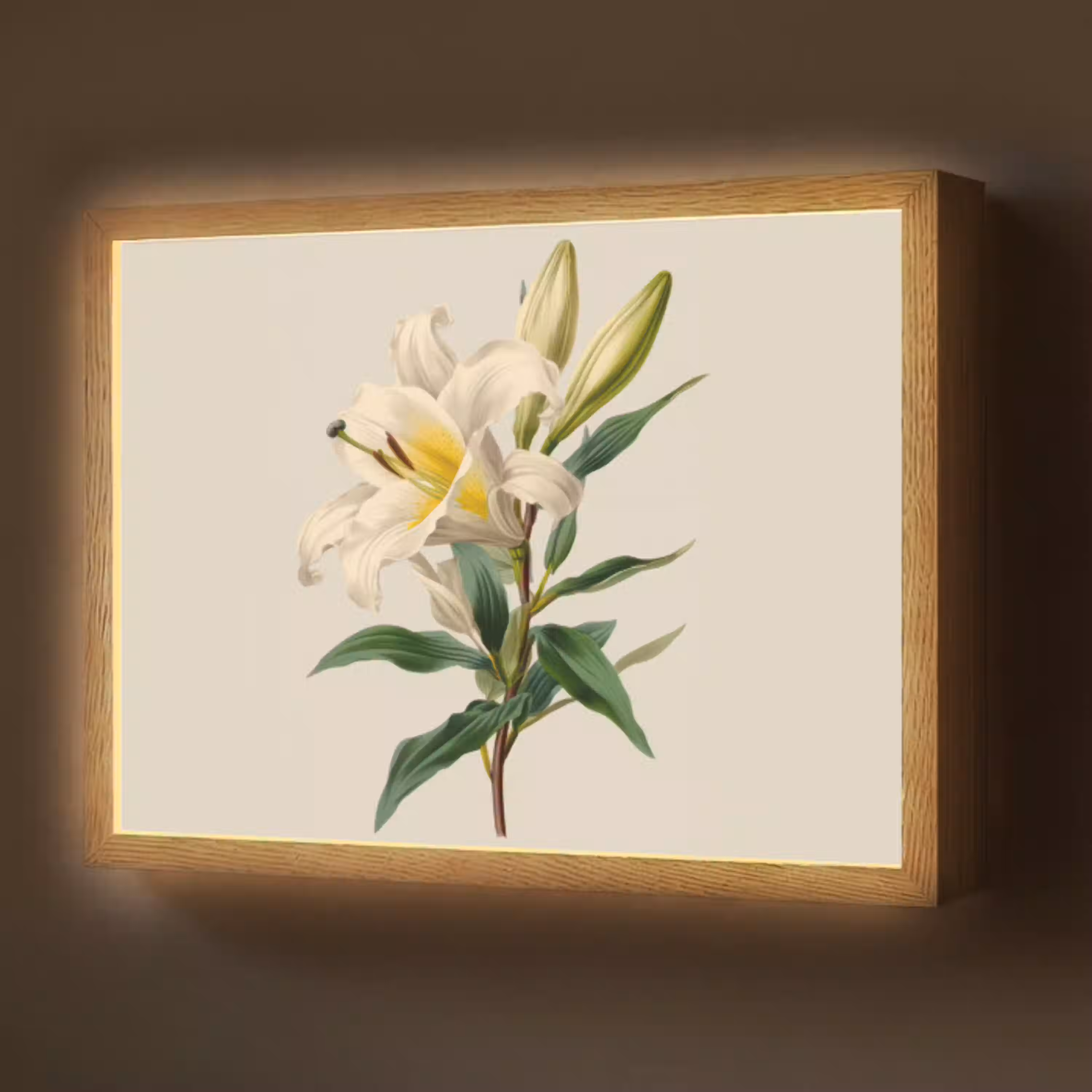 Lelie - Elegant - Botanisch - Beige Light Box met batterij (Wandlamp) middel -z3d_website