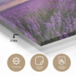 Lavendel - Veld - Natuur - Paars plexiglas 5mm klein -sfeer2