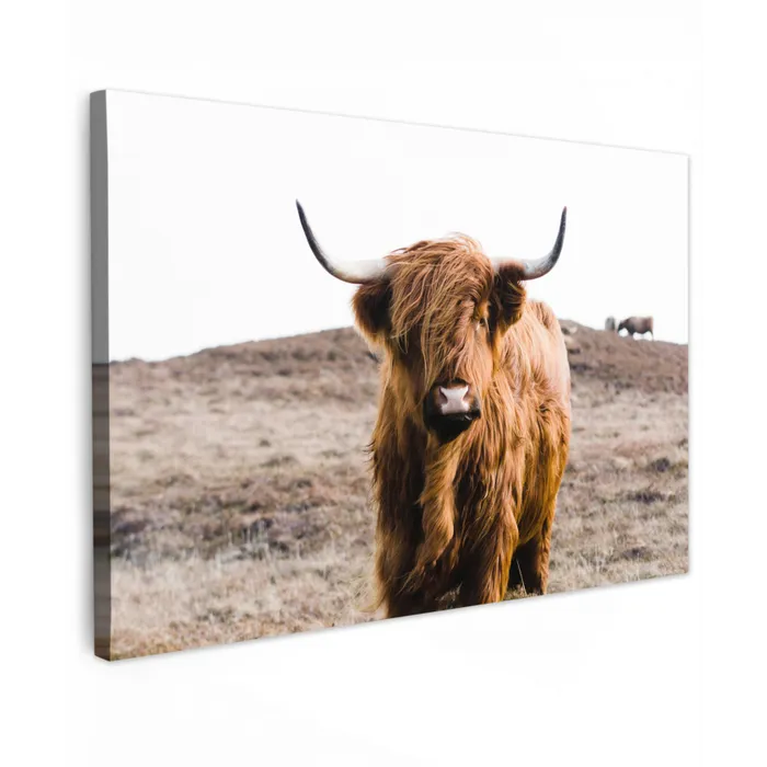 Schotse hooglander - Landschap - Koe - Bruin - Dieren - Natuur Tuinposter op houten frame 2 cm dik klein -3d