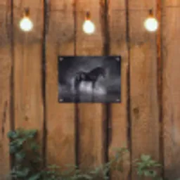 Paard - Magisch - Zwart tuinposter los doek klein -sfeer1