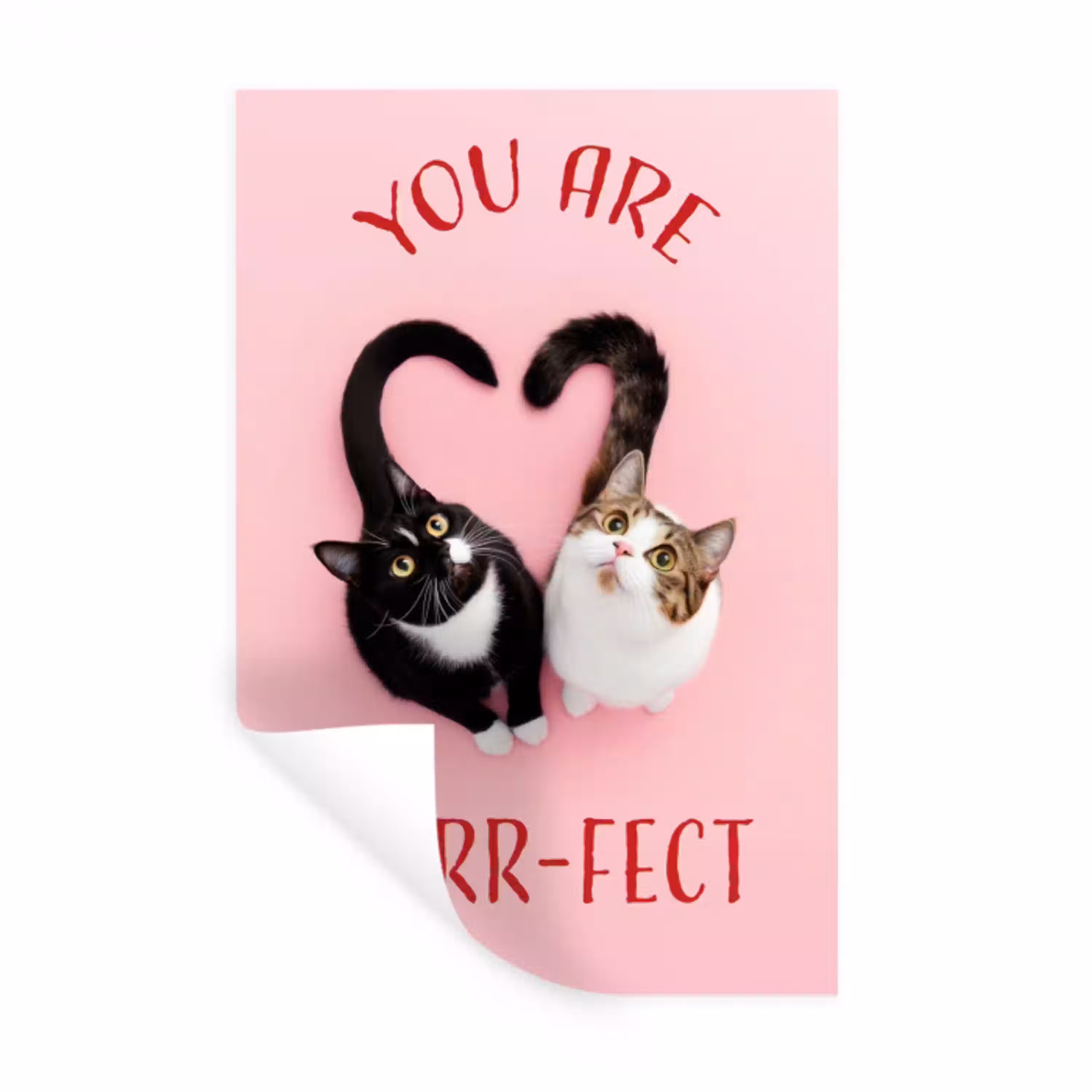 Kat - Hart - Tekst - Valentijn Muursticker klein -3d