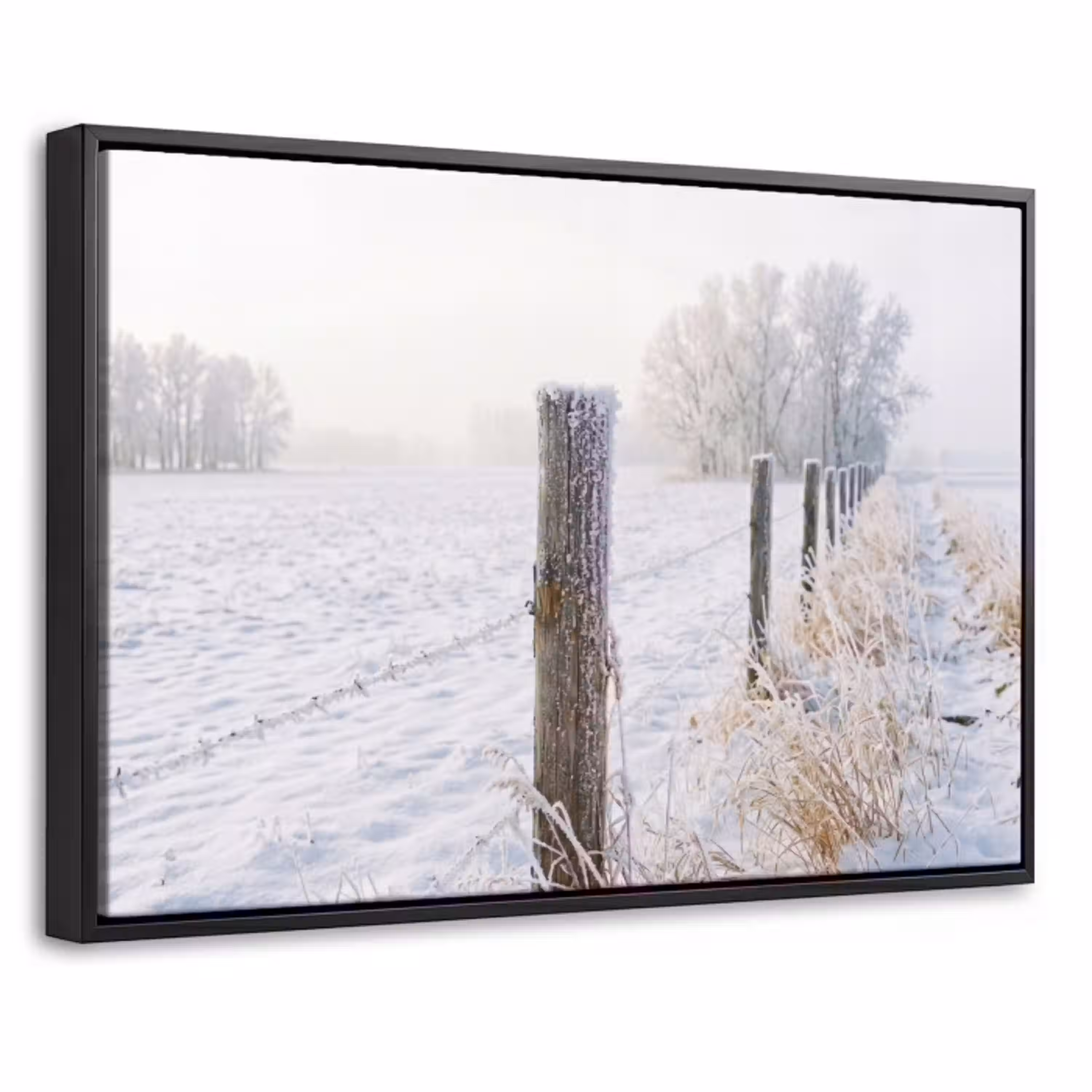 Hek - Sneeuw - Mist - Platteland - Nostalgisch Canvas met baklijst klein -threedimensional_3d_global
