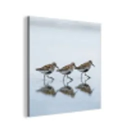 Vogels - Water - Grijs aluminium wit klein -3d