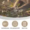 Koala - Bladeren - Ochtendlicht Akoestische PET Vilt - Rond klein -closeup_NL