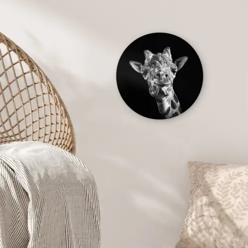 Giraffe - Dier - Zwart - Wit Wandcirkel kunststof plaat 5mm dik klein -sfeer5