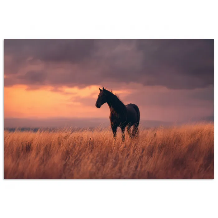 Paard - Wolken - Open veld poster papier klein -3d
