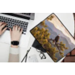 Zeearend - Boom - Bergen - Groen laptophoes neopreen klein -bureau