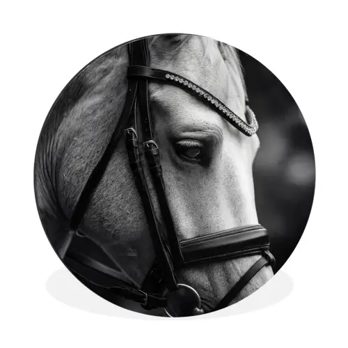 Paard - Schimmel - Portret Wandcirkel aluminium klein -3d