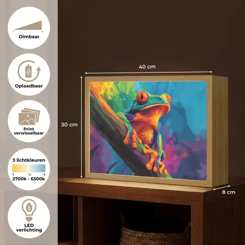 Kikker - Felgekleurd - Tak - Regenboog Light Box met batterij (Wandlamp) middel -USP_websiteoverzichtNL