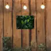 Bladeren - Regendruppels - Licht - Groen tuinposter los doek klein -sfeer1