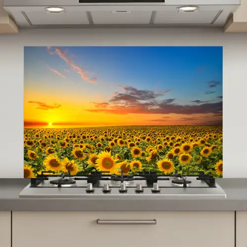 Bloemen - Zonnebloem - Zonsondergang - Nacht - Oranje keuken achterwand spatscherm klein -3d_website