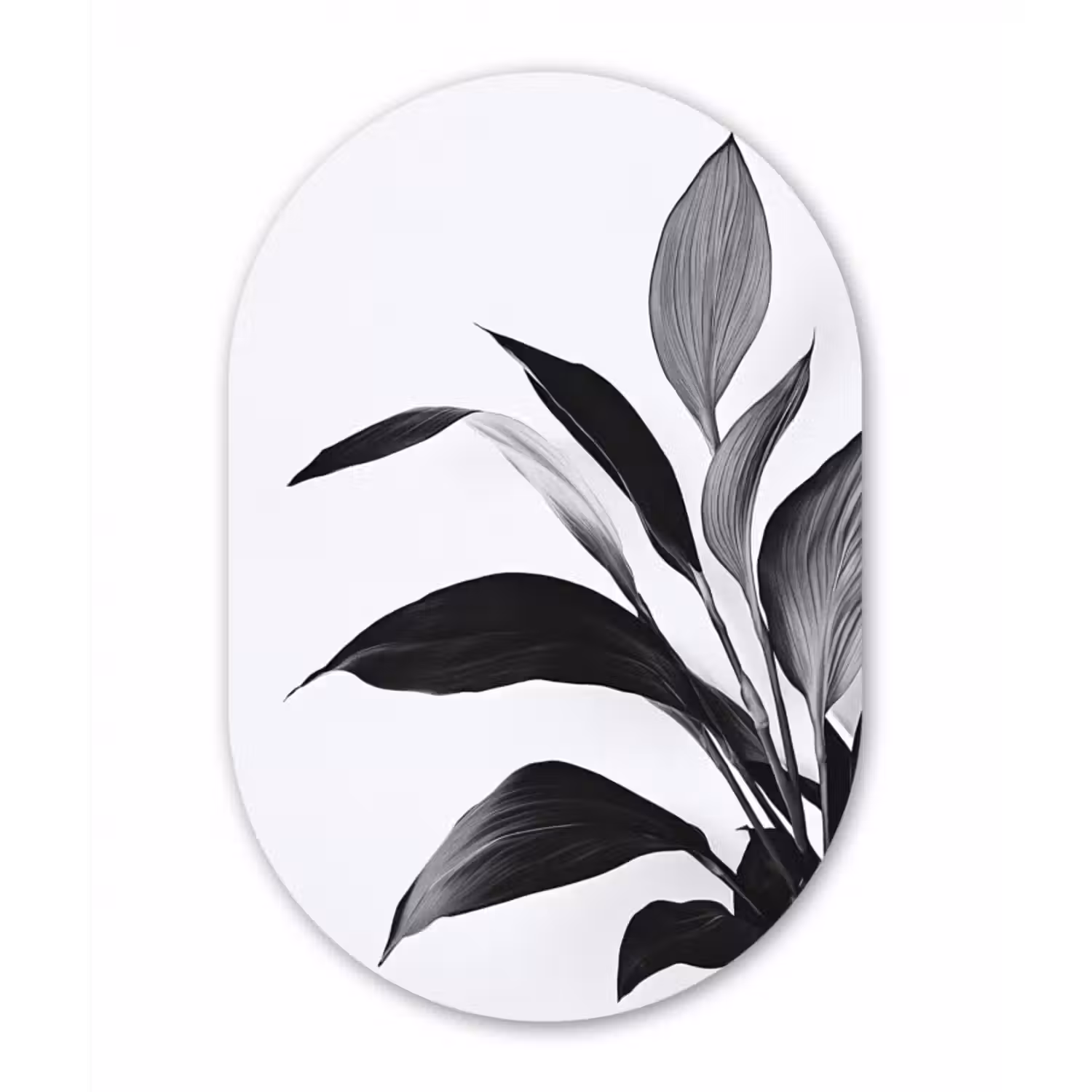 Glasbild Oval - Pflanze - Blätter - Minimalistisch - Schwarz
