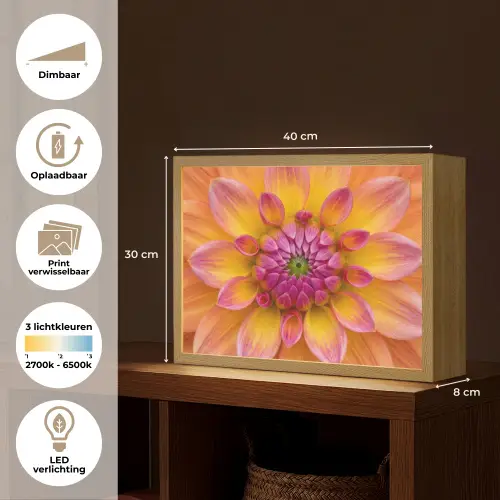Dahlia - Bloem - Oranje Light Box met batterij (Wandlamp) middel -USP_websiteoverzichtNL