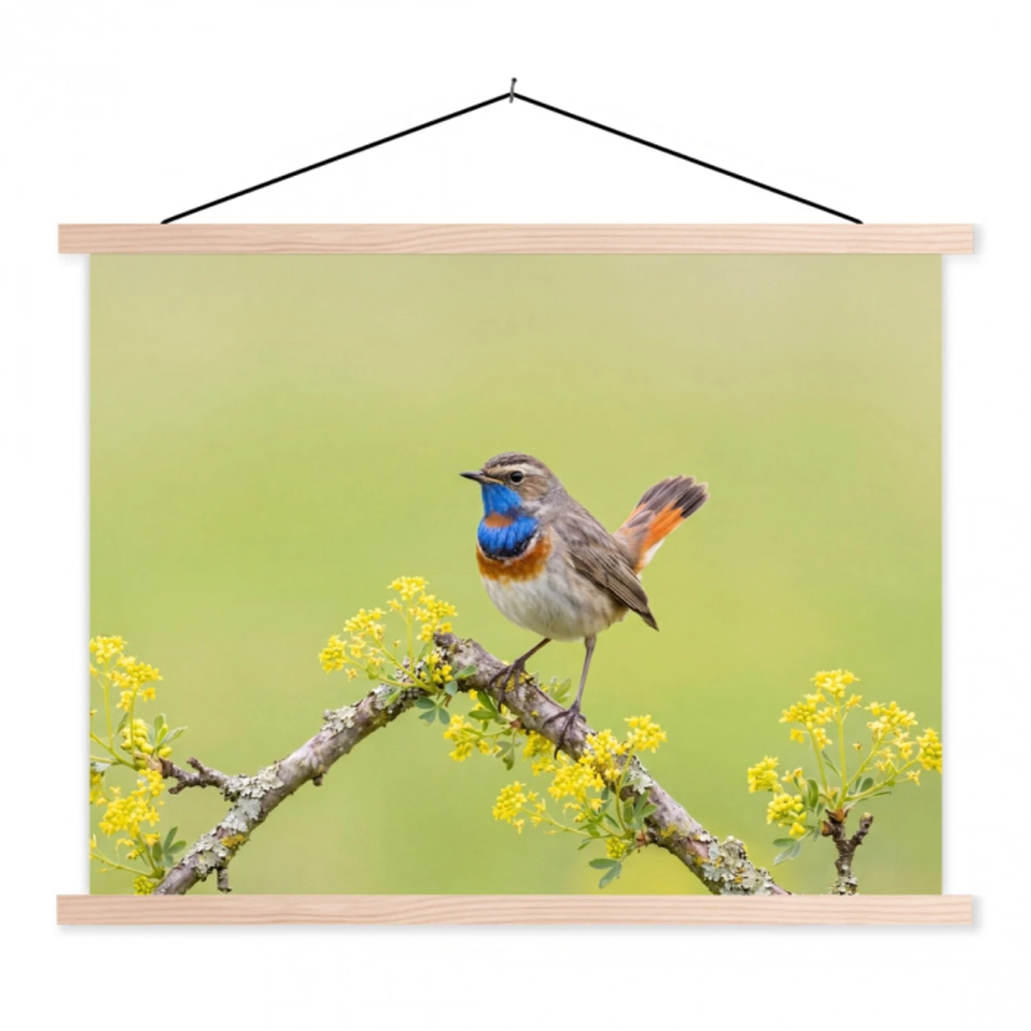 Vogel - Tak - Natuur - Kleurrijk textielposter latten blank klein -3d