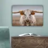 Longhorn - Grasveld - Dier canvas 2cm klein -sfeer4