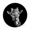 Giraffe - Dier - Zwart - Wit Wandcirkel aluminium klein -3d