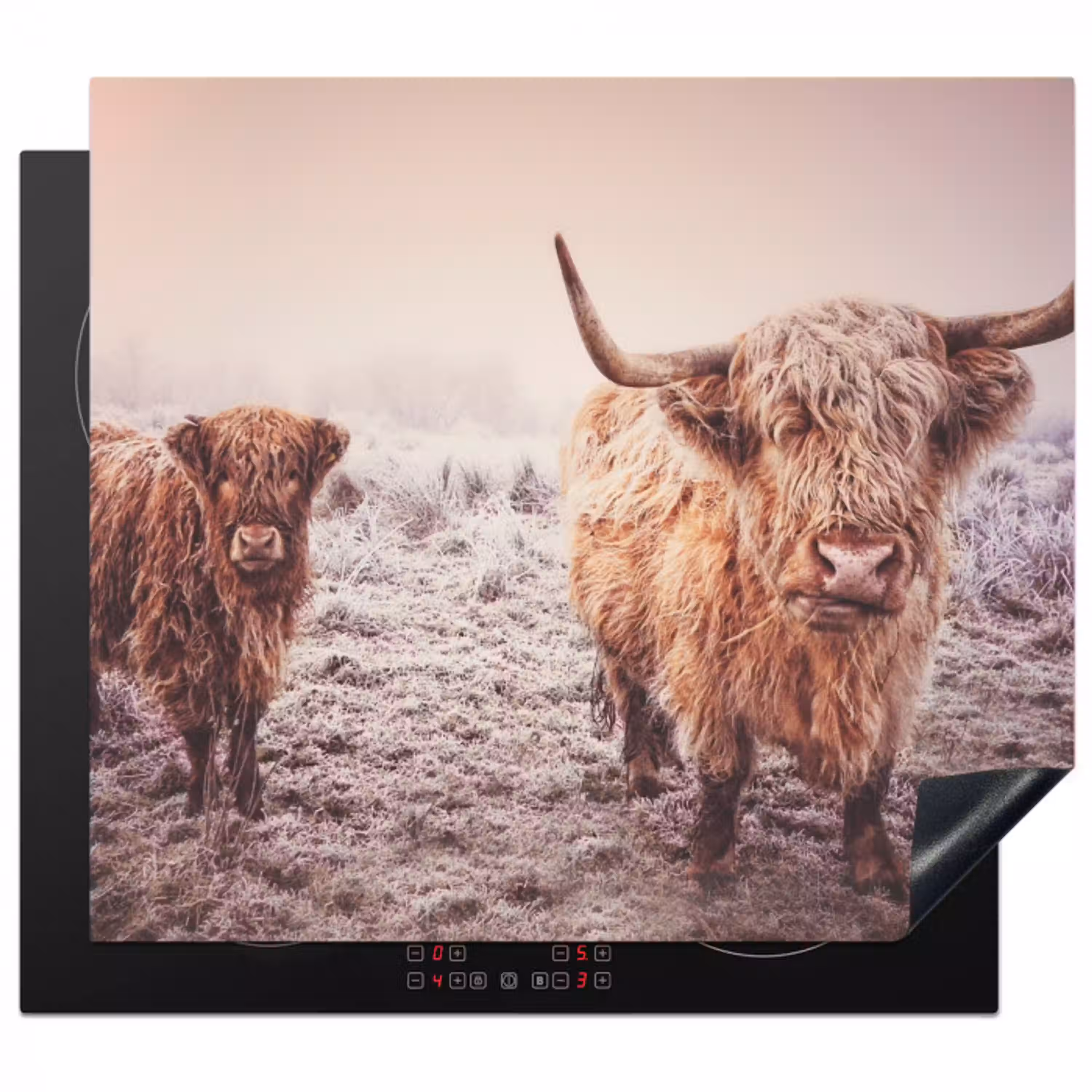 Schotse hooglanders - Licht - Lucht - Natuur Inductie beschermer vinyl 3mm middel -3d