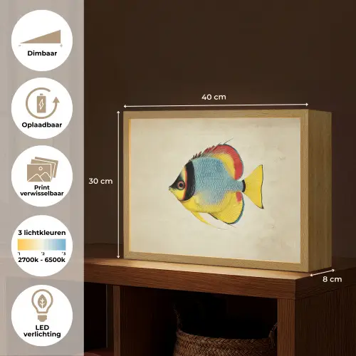 Kleurrijk - Vis - Schubben - Illustratie Light Box met batterij (Wandlamp) middel -USP_websiteoverzichtNL