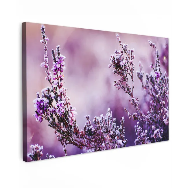 Buiten canvas - Lavendel - Winter - Bloemen - Paars
