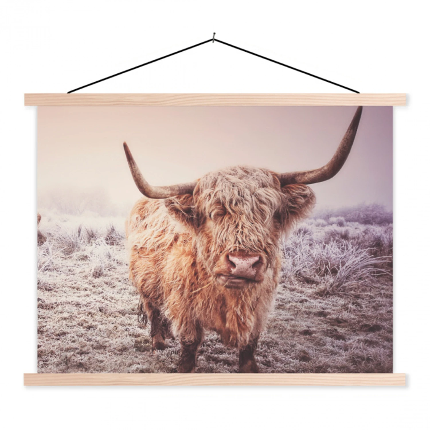 Schotse hooglanders - Licht - Lucht - Natuur textielposter latten blank klein -3d