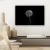 Paardenbloem - Zwart - Bloemen - Botanisch canvas 2cm klein -sfeer6