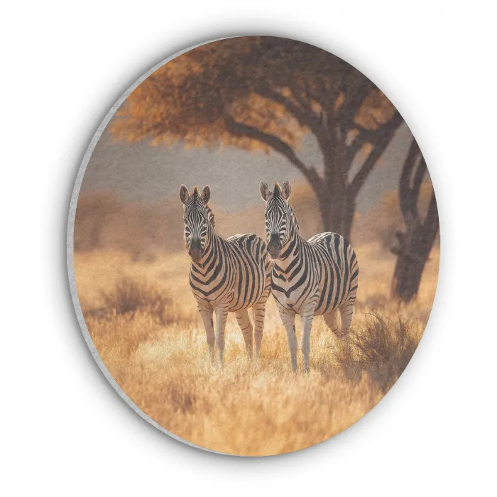 Zebra's - Savannelandschap - Gras Akoestische PET Vilt - Rond klein -3d