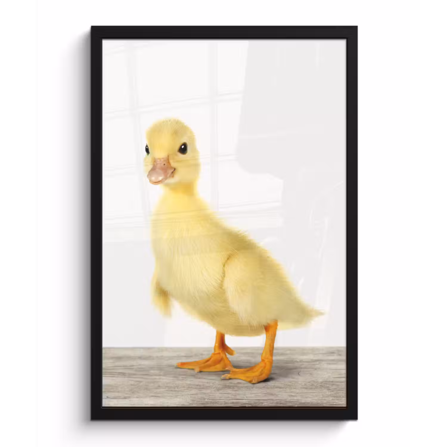 Poster met lijst - Eend - Kuiken - Dieren - Lief - Meisjes - Jongens - Kinderen
