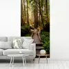Jungle - Natuur - Trap - Bomen fotobehang vinyl groot -woonkamer