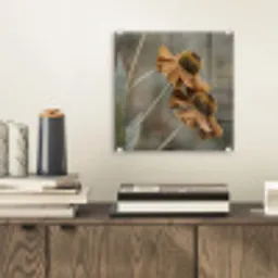 Zonnehoed - Droogbloemen - Geel - Warm plexiglas 5mm klein -sfeer1