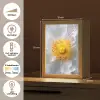 Wit - Bloem - Elegant Light Box met kabel (Tafellamp) klein -USP_NL