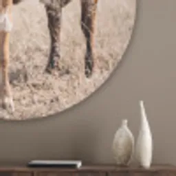 Texas Longhorn - Kalf - Weide - Dieren Akoestische PET Vilt - Rond klein -sfeer5_closeup