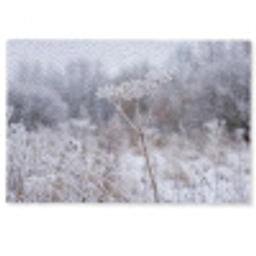 Schermbloem - Rijp - Kristallen - Winter - Delicaat Deurmat klein -zkaufland3d