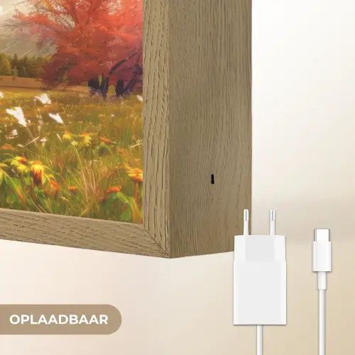 Landschap - 4 seizoenen - Natuur - Winter - Lente - Zomer - Herfst Light Box met batterij (Wandlamp) middel -USP_websiteoplaadbaarNL