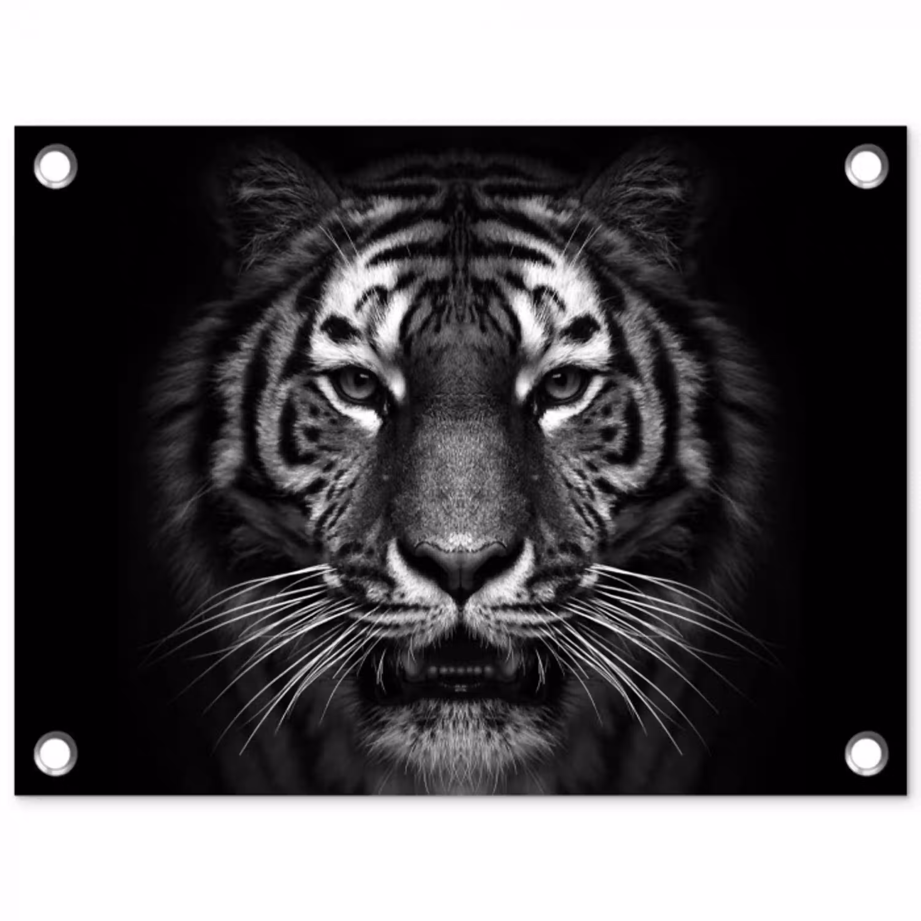 Tijger - Dieren - Zwart - Wit - Portret - Wild tuinposter los doek klein -3d