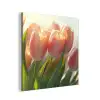 Tulpen - Roze - Zonnestralen aluminium wit klein -3d