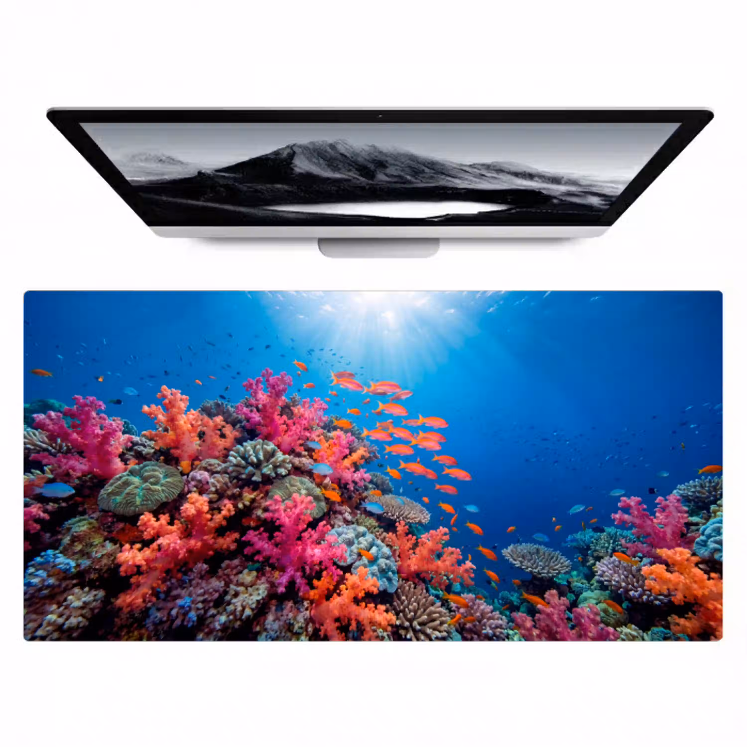 Onderwater - Koraalrif - Vissen - Oceaan - Natuur Muismat XXL klein -zzz3d