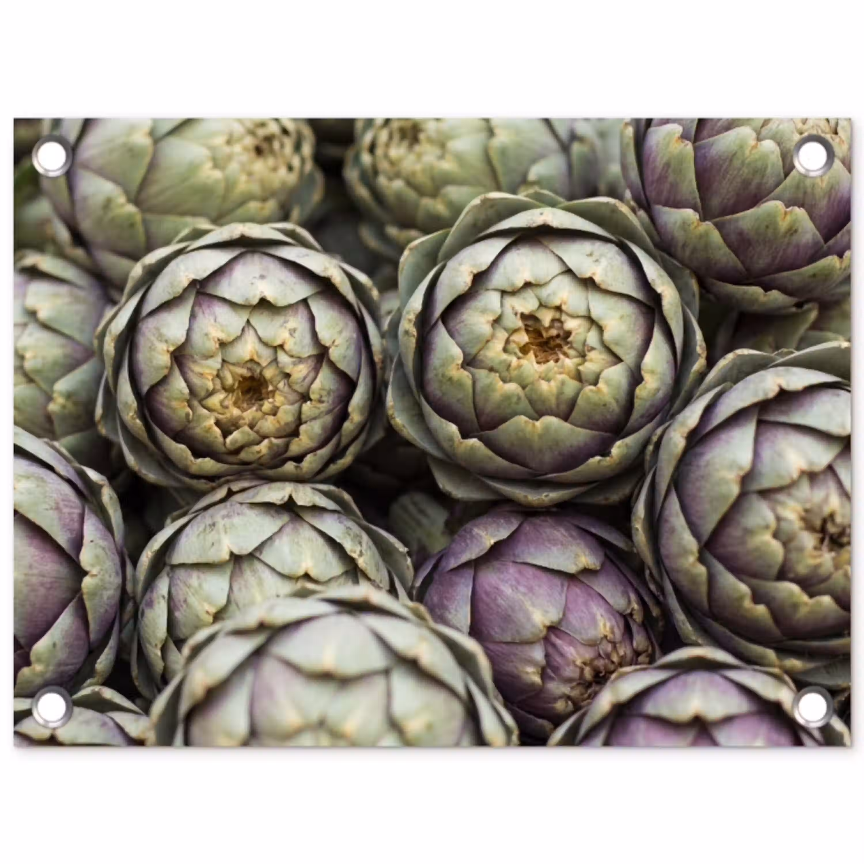 Groenten - Vers - Eten tuinposter los doek klein -3d