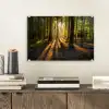 Zon - Bomen - Bos - Landschap - Natuur plexiglas 5mm klein -sfeer1