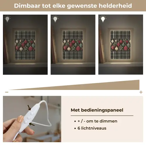 Kerstballen - Rood - Hulsttakken - Patroon Light Box met kabel (Wandlamp) klein -USP_dimbaarNL