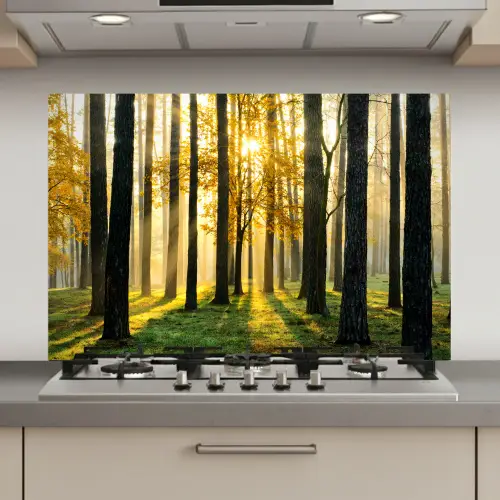 Bos - Zon - Bomen - Gras - Landschap  - Natuur keuken achterwand spatscherm klein -3d_website