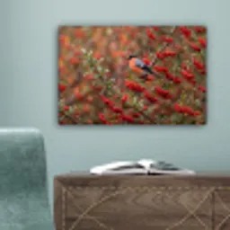 Goudvink - Bessen - Herfst - Natuur - Kleurrijk canvas 2cm klein -sfeer4