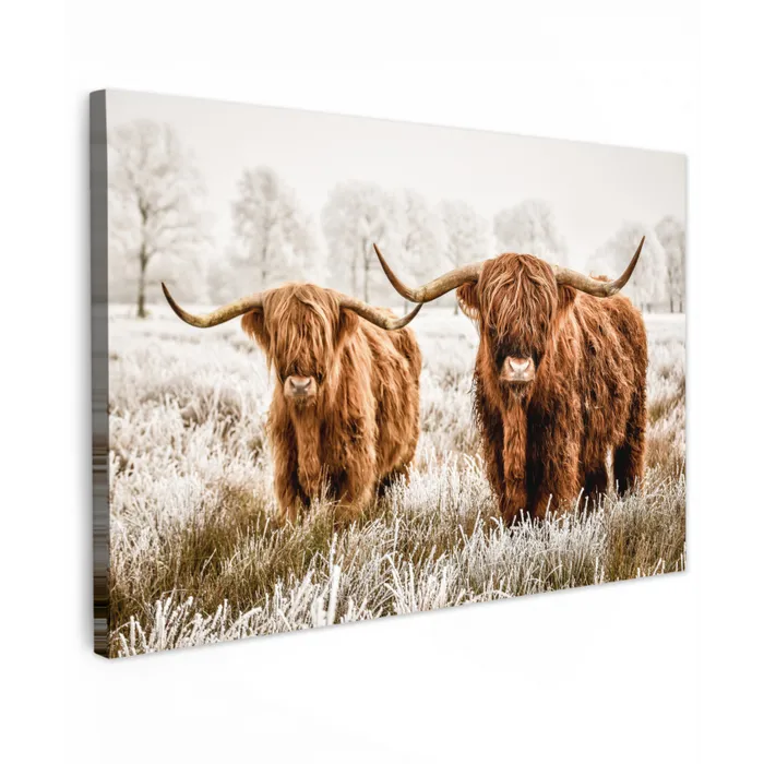 Schotse hooglander - Koe - Natuur - Winter Tuinposter op houten frame 2 cm dik klein -3d