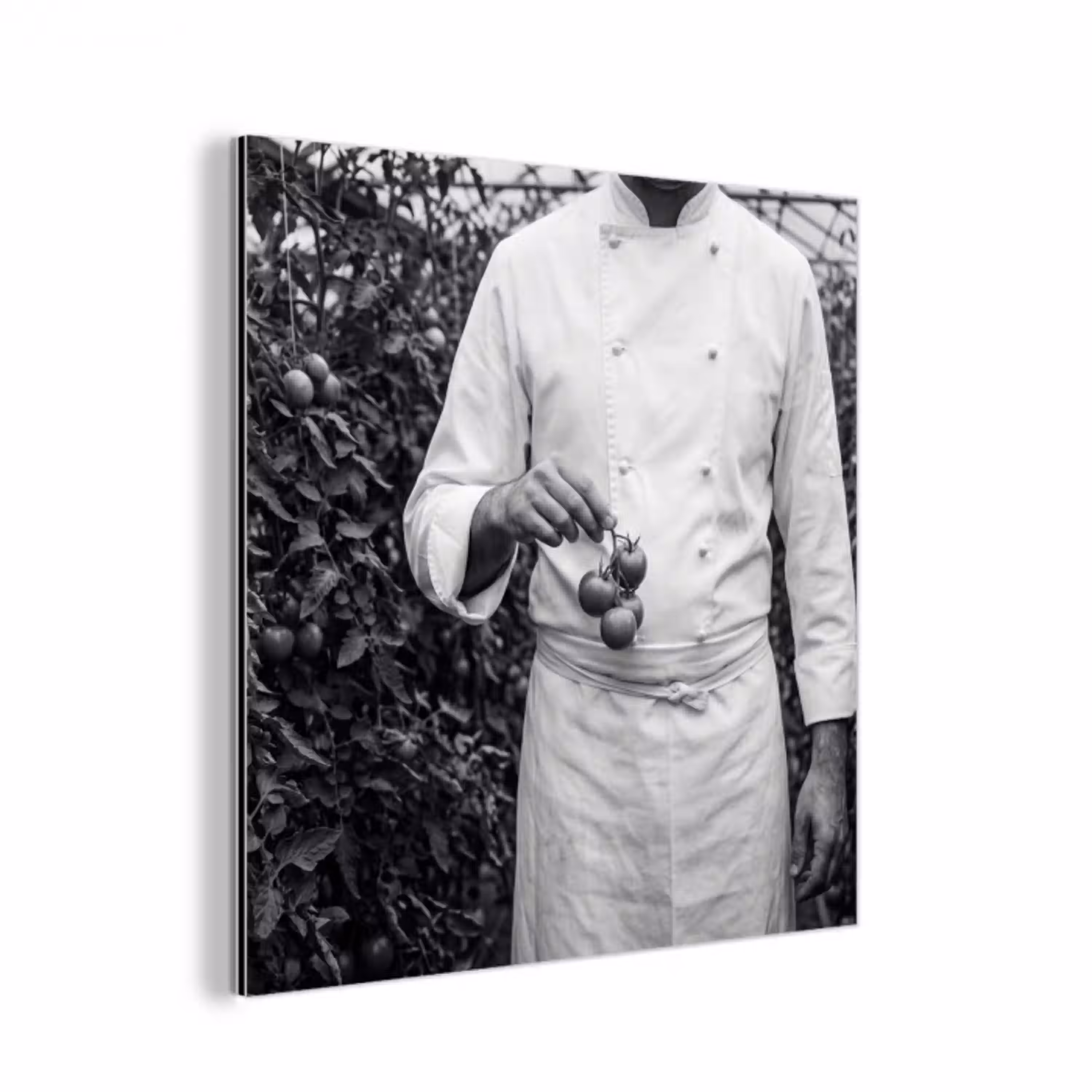 Tomaten - Chef - Zwart - Wit aluminium wit klein -3d