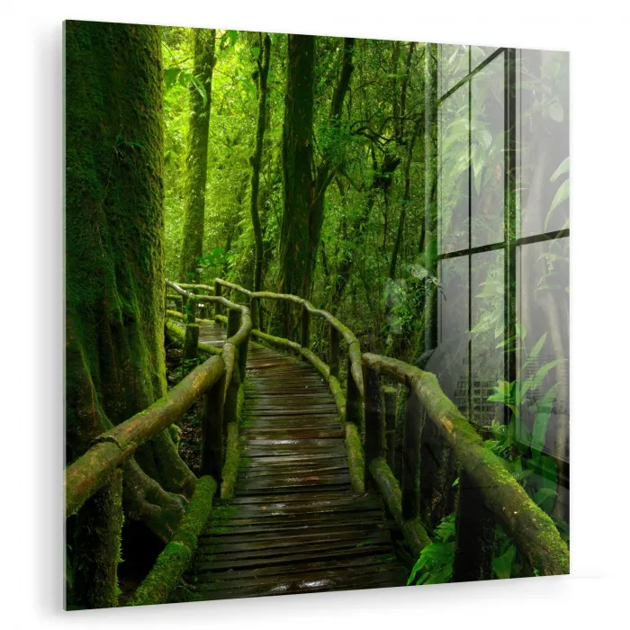 Jungle - Brug - Mos - Natuur - Tropisch plexiglas 5mm klein -zzzproduct_nieuw