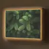 Sparrentakken - Knoppen - Naalden - Groen Light Box met batterij (Wandlamp) middel -z3d_website