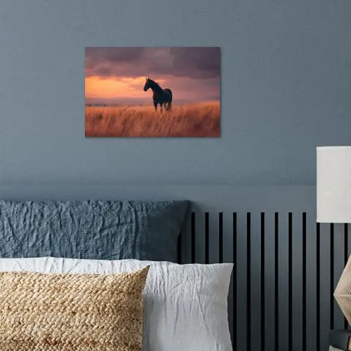 Paard - Wolken - Open veld poster papier klein -sfeer2